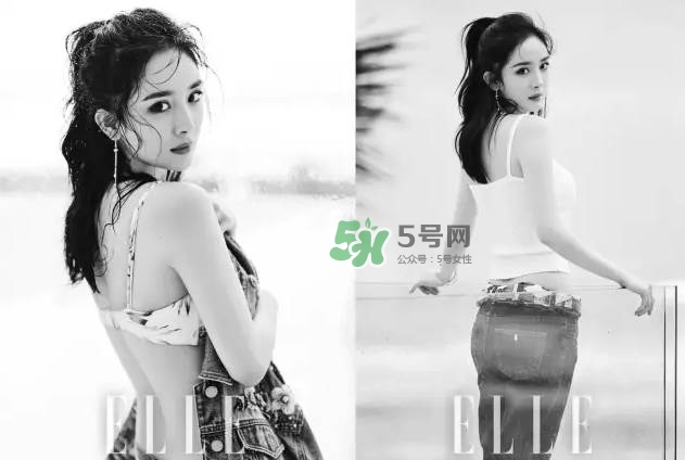 ��Բ����ô����β�ÿ� Բ���ʺ���ʲô������β